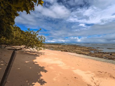 Endonezya, Bali 'de deniz ve hindistan cevizi palmiyeli güzel tropikal plaj