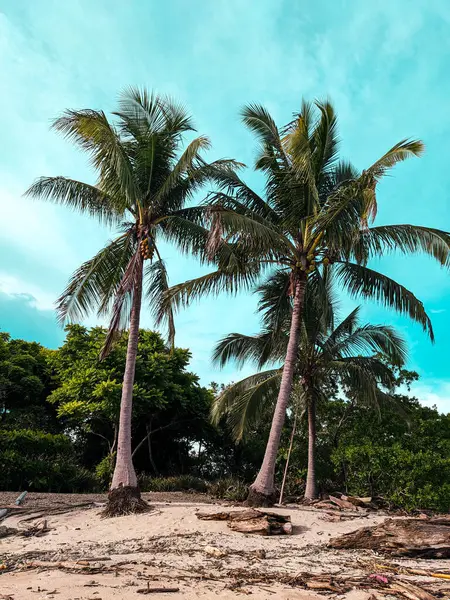 Deniz kıyısının güzel manzarası