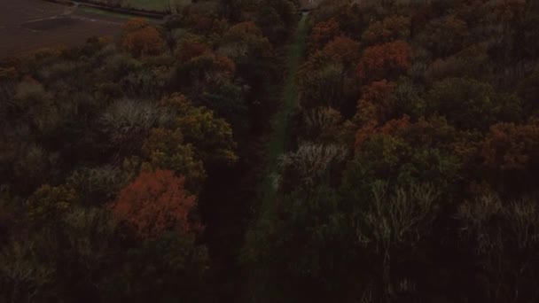 Luchtfoto Drone View Autumnal Fall Tree Top Canopy Het Verenigd — Stockvideo