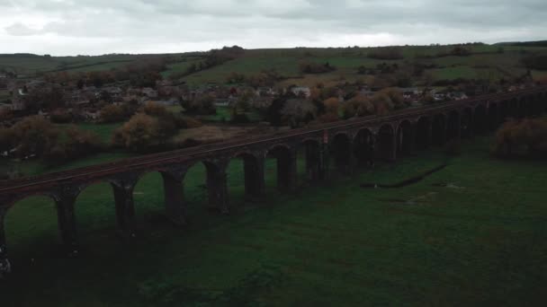 Εναέρια Άποψη Της Σιδηροδρομικής Γέφυρας Πάνω Από Τον Ποταμό Ύπαιθρο — Αρχείο Βίντεο