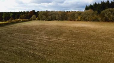 Ağaçlar ve ormanlarla dolu sonbahar manzarası. Hava aracı görüntüsü. Rutland Ormanı Wakerley Ormanı. 4k. 