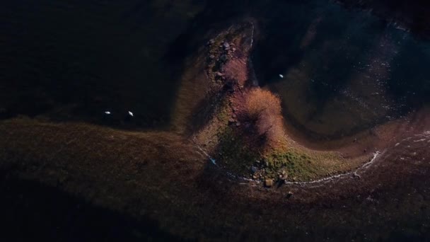 Letecký Pohled Malého Ostrova Jezeře Vody Rutlandu Anglie — Stock video