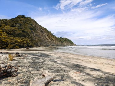 Yeni Zelanda 'daki güzel plaj