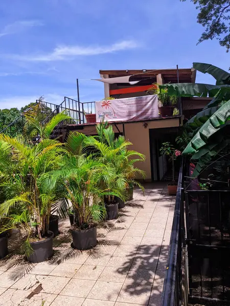 Parktaki güzel bahçe.