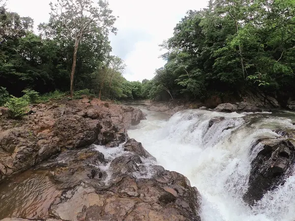 şelale orman Nehri üzerinde