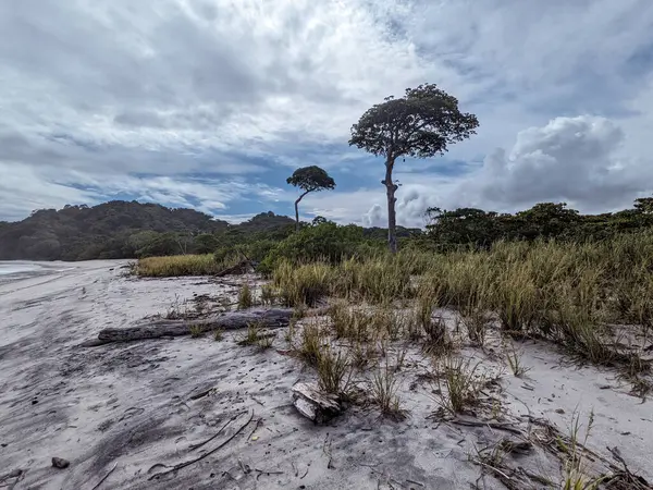 Güzel deniz manzarası
