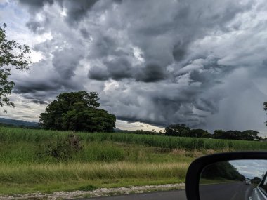 Ormanın üzerinde fırtına bulutları