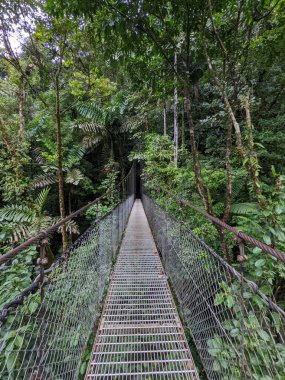 Parktaki manzara çok güzel.