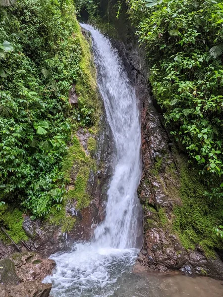 Ormanda güzel bir şelale