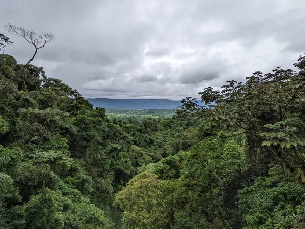 Sabahları dağların havadan görünüşü