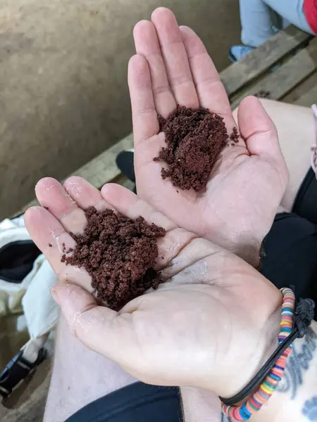 Tahta bir kasede siyah beyaz kahve çekirdeği tutan bir adam.