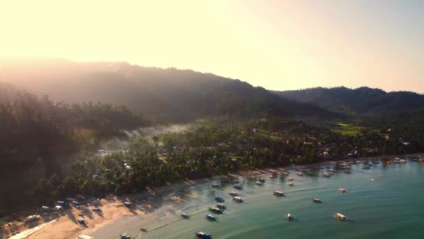 フィリピンのパラワンにあるココナッツビーチベイで撮影された4Kの空中ビュー ヤシの木が付いているターコイズの水そして白い砂浜 — ストック動画