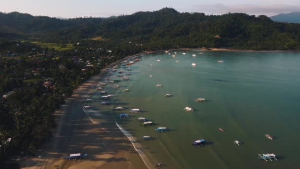 Aerial View Átívelő Táj Lövés Felett Kókusz Strand Öböl Palawan — Stock videók