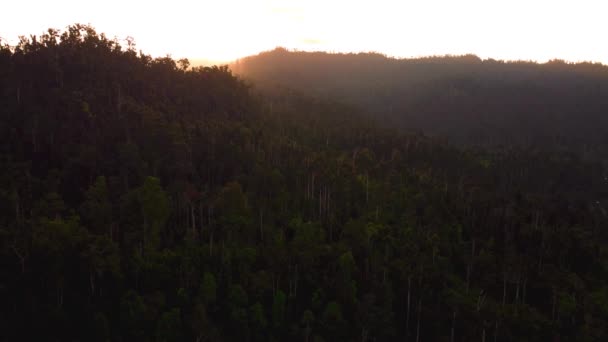 Letecký Pohled Rozprostírající Krajina Pořízena Nad Kokosovým Plážovým Zálivem Palawan — Stock video