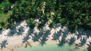 Palawan, Filipinler 'deki Coconut Sahili' nin 4k genişliğindeki hava manzarası. Turkuaz sular ve palmiyeli beyaz kumlu plajlar..