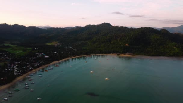 フィリピンのパラワンにあるココナッツビーチベイで撮影された4Kの空中ビュー ヤシの木が付いているターコイズの水そして白い砂浜 — ストック動画