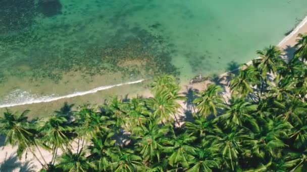 Letecký Pohled Rozprostírající Krajina Pořízena Nad Kokosovým Plážovým Zálivem Palawan — Stock video