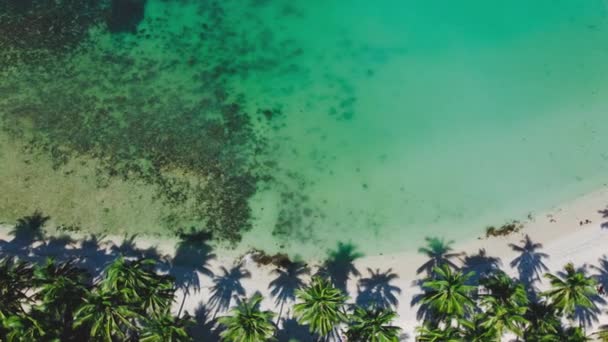 Luchtfoto Overspannen Landschap Geschoten Coconut Strand Baai Palawan Filippijnen Turkoois — Stockvideo