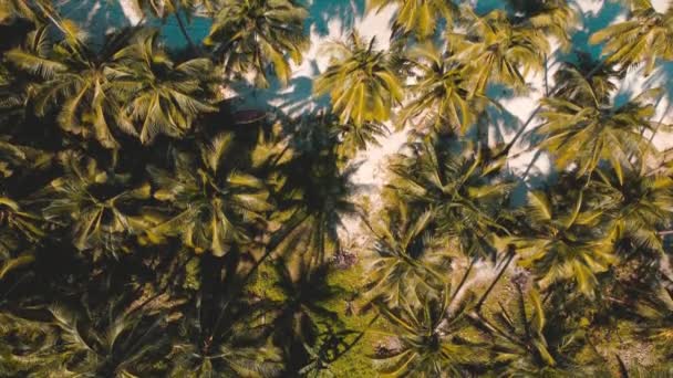 Widok Lotu Ptaka Rozciągający Się Krajobraz Strzał Nad Zatoką Kokosową — Wideo stockowe