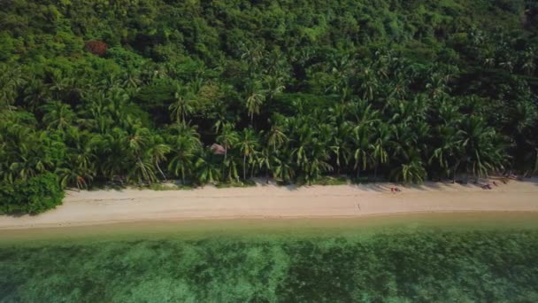 Balıkçı Tekneleri Ocam Ocam Beach Coron Filipinler Kıyılarının Havadan Alçak — Stok video