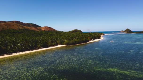 Aerial View Cinematic Marcilla Beach Coron Philippines 美丽的热带海滩 红树林和碧绿的海水 — 图库视频影像