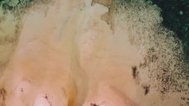 Marcilla Beach Coron, Filipinler üzerindeki hava 4k manzaralı sinemada. Manzaralı tropik plajlar, mangrovlar ve turkuaz sular..