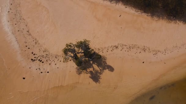 Luchtfoto Uitzicht Filmische Marcilla Strand Coron Filippijnen Prachtige Schilderachtige Tropische — Stockvideo