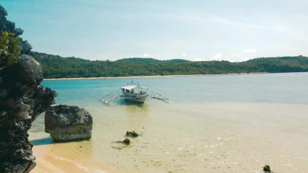 フィリピン カラオケ国立公園コロン島周辺の小さな島やビーチの4Kドローンショット クリスタルクリアターコイズブルーウォーター ヤシの木は白い砂浜と目に見えるサンゴ礁を並べました — ストック動画
