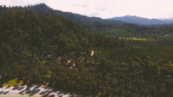 Вид Воздуха Охватывающий Пейзаж Снятый Над Бухтой Кокосового Пляжа Палаване — стоковое видео