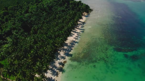 Vista Aérea Que Abarca Paisaje Sobre Bahía Playa Coco Palawan — Vídeo de stock