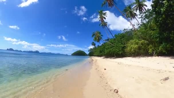 Spacery Wzdłuż Tropikalnej Plaży — Wideo stockowe