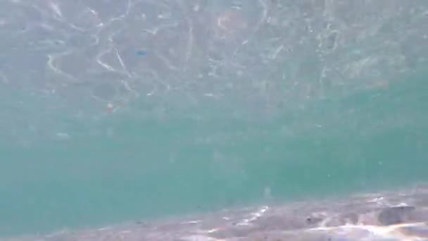 Ныряние Маской Среди Оживленных Тропических Рифов Раскачивание Чаек Берегов Филиппин — стоковое видео