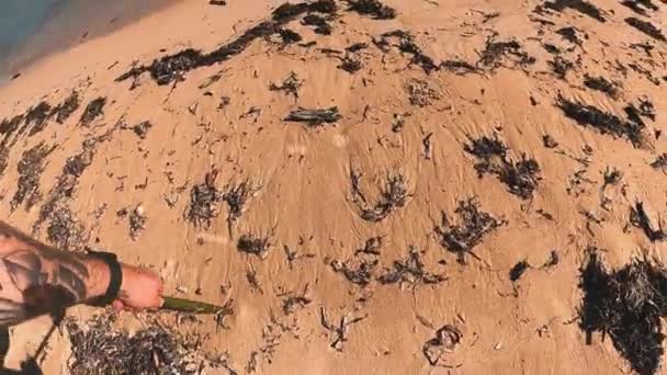 Гіперчасовий Проміжок Часу Хвиль Летять Пляжі Білим Піском Філіппінах — стокове відео