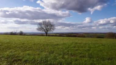 İlkbaharda İngiltere kırsalında nesnelere yakın uçan 4k görüntüsü