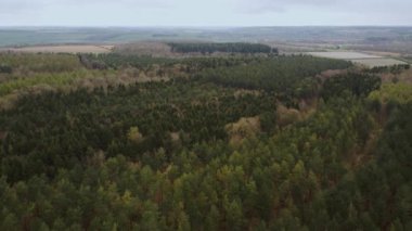 İngiltere 'deki dağlık ormanlarda 4K hava manzarası var. Alp çalıları..