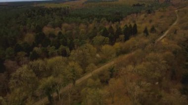 İngiltere 'deki dağlık ormanlarda 4K hava manzarası var. Alp çalıları..