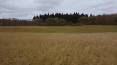 İngiltere 'deki dağlık ormanlarda 4K hava manzarası var. Alp çalıları..