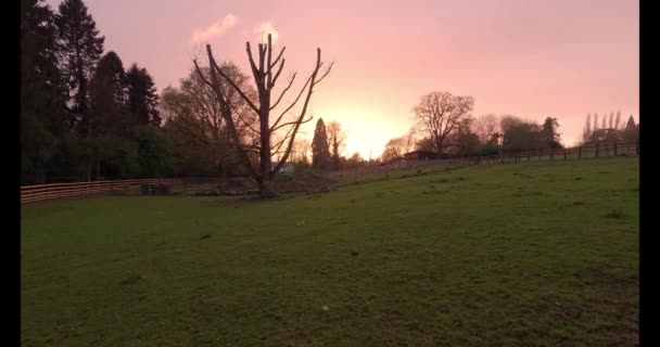 Timelapse Beautiful Sunset Farm Rural England Orange Magenta Skies Windy — Stock Video
