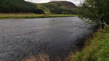 İskoç Dağları Manzarası Cairngorms Ulusal Parkı Sürücüsü 