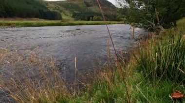 İskoç Dağları Manzarası Cairngorms Ulusal Parkı Sürücüsü 