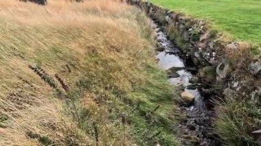 İskoç Dağları Manzarası Cairngorms Ulusal Parkı Sürücüsü 