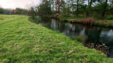 Sınır çoban köpeğini Pasta Tepesi 'nde gezdiriyorum.