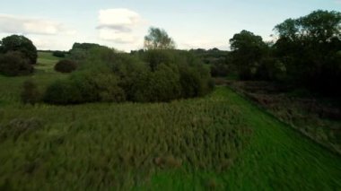 İngiltere 'de göl üzerinde su kuşuyla hava manzarası. 