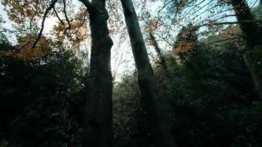 Dağ manzaralı Troodos, Kıbrıs Rum Kesimi 