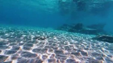 Sualtı şnorkelle yüzen Kikon balığı ve deniz yaşamı mavi gök mavisi sular 