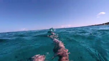 Sualtı şnorkelle yüzen Kikon balığı ve deniz yaşamı mavi gök mavisi sular 