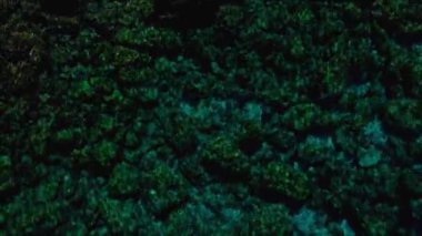 Kıyı havacıkları mavi sular, siyagaras. 