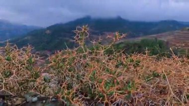 SİZ Troodos 'ta dağların tepesinden hava görüntüsü 