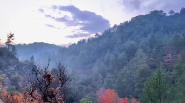 SİZ Troodos 'ta dağların tepesinden hava görüntüsü 