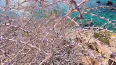 Kıbrıs Rum Kesimi Akdeniz kıyı bölgeleri 